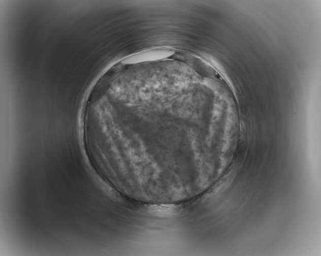 X0000088850859200707061031