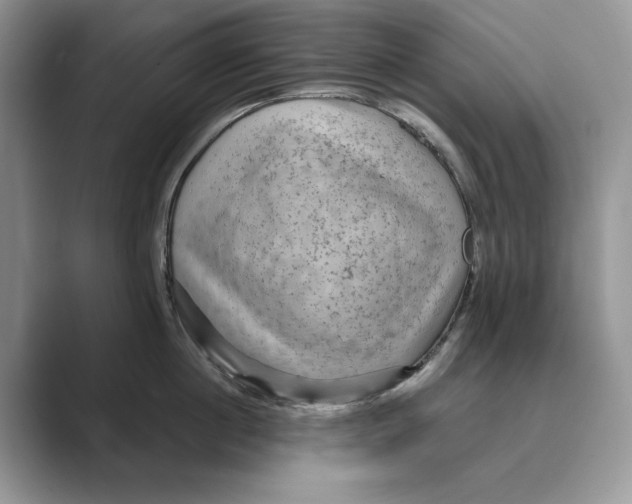 X0000088850860200707061031