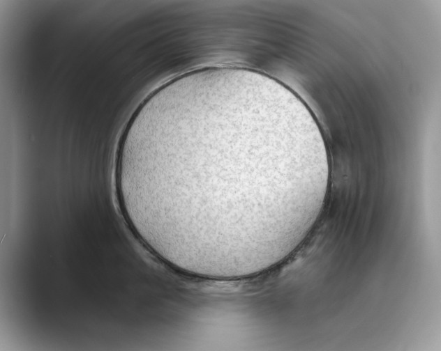 X0000088850861200707061031