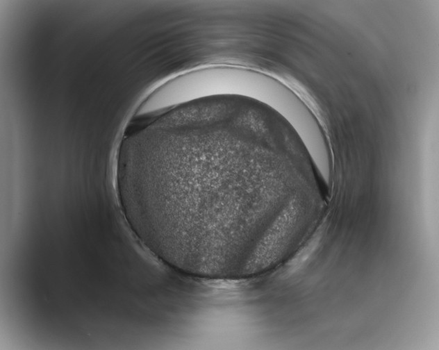 X0000088850862200707061031