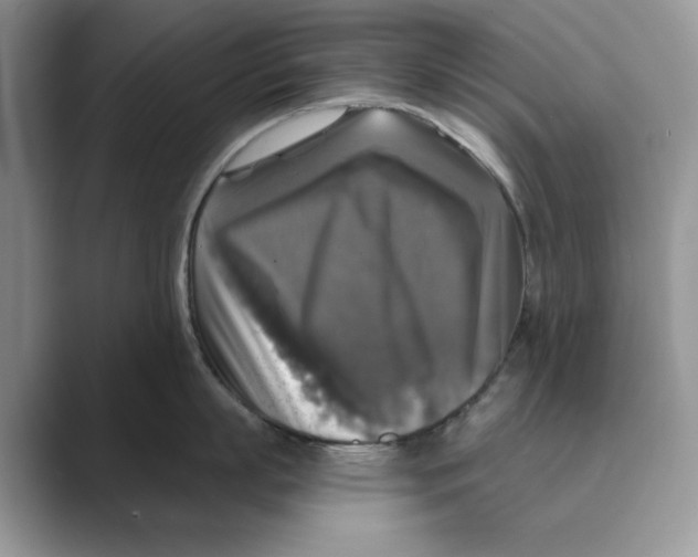 X0000088850863200707061031