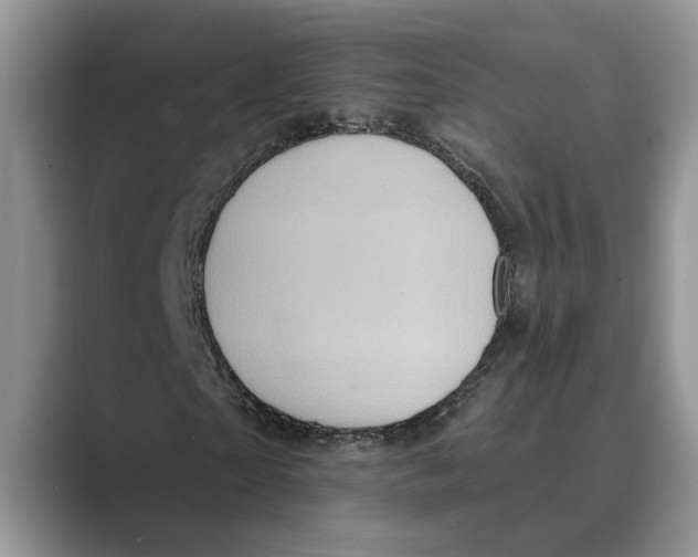 X0000088850865200707061031
