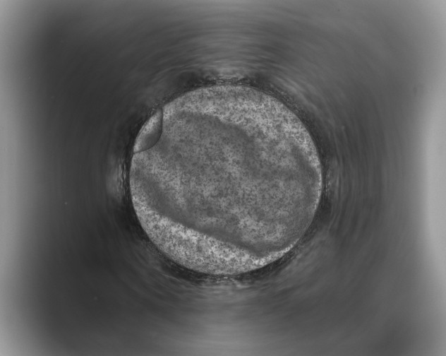 X0000088850866200707061031