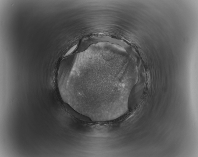X0000088850868200707061031