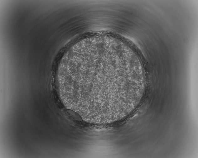 X0000088850871200707061031