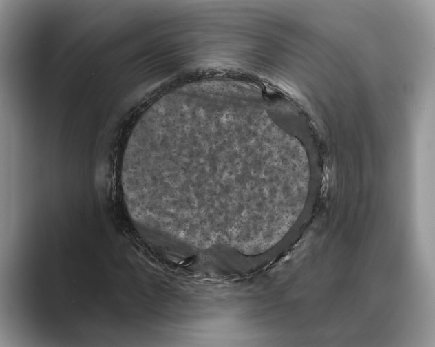 X0000088850872200707061031