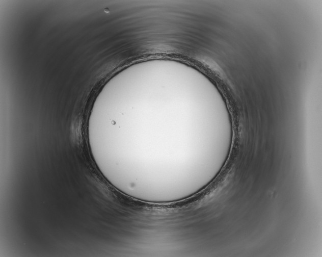 X0000088850873200707061031