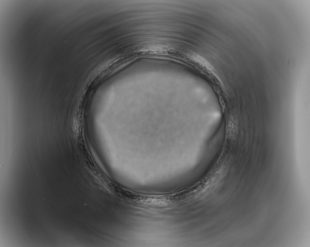X0000088850874200707061031
