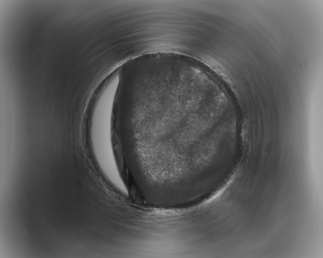 X0000088850877200707061031