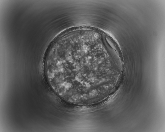 X0000088850879200707061031