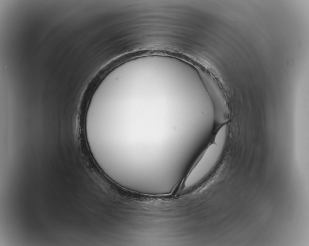 X0000088850880200707061031