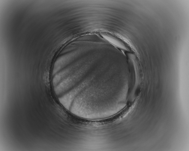 X0000088850881200707061031