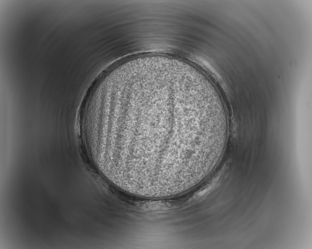 X0000088850883200707061031