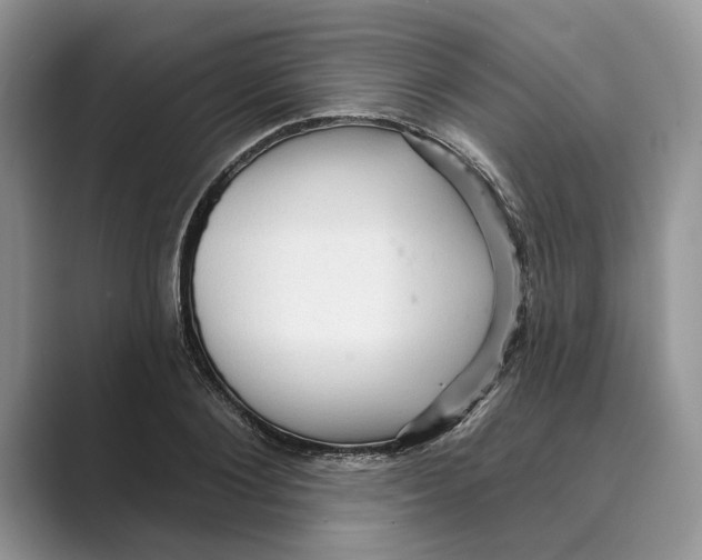 X0000088850884200707061031