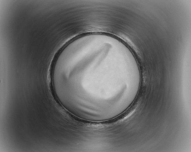 X0000088850885200707061031