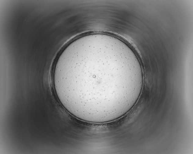 X0000088850887200707061031