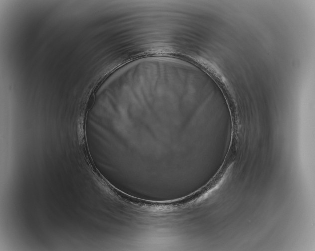 X0000088850889200707061031