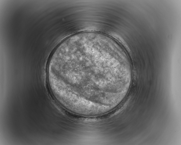 X0000088850890200707061031