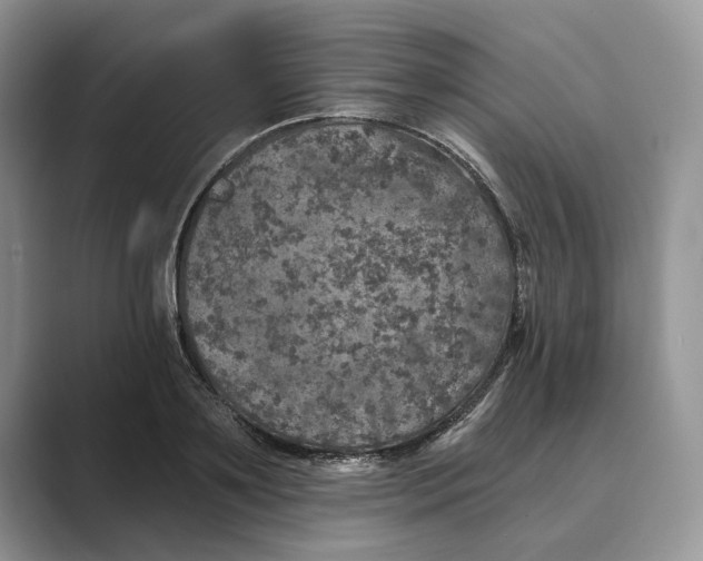 X0000088850891200707061031