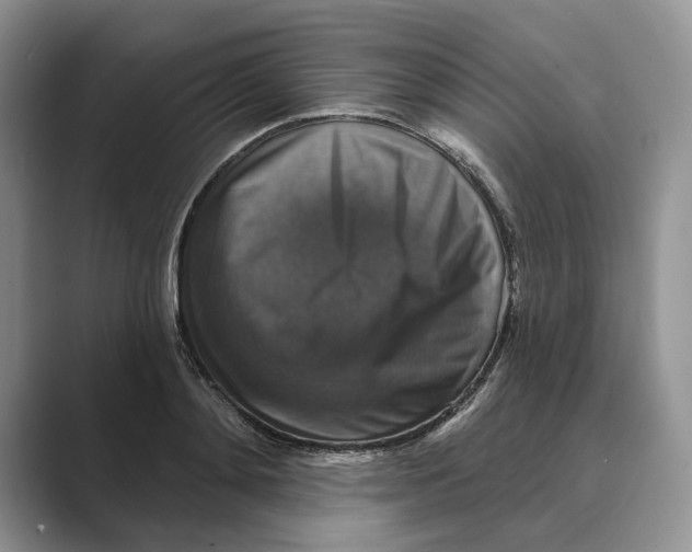 X0000088850892200707061031