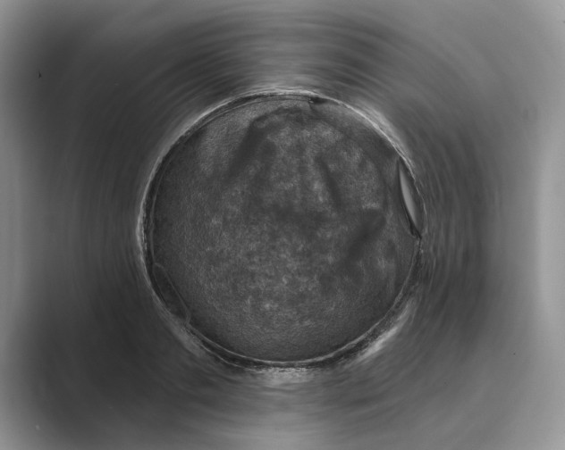 X0000088850893200707061031