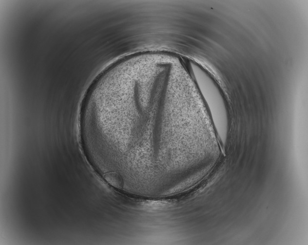X0000088850894200707061031