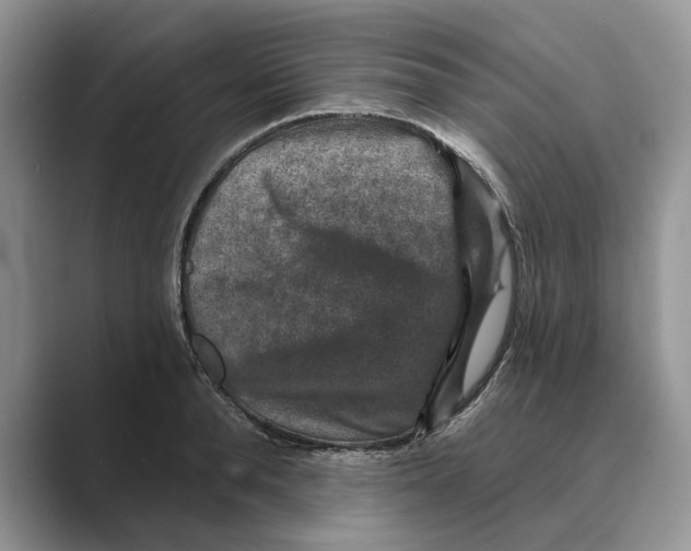 X0000088850896200707061030