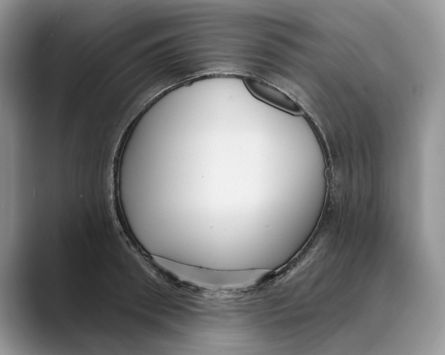 X0000088850898200707061030