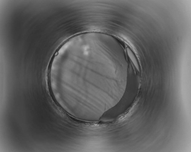 X0000088850899200707061030