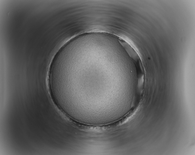 X0000088850901200707061030