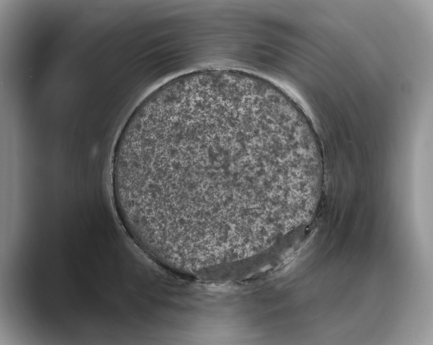 X0000088850903200707061030