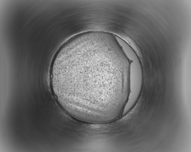 X0000088850904200707061030