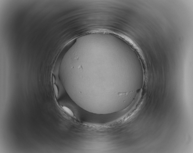 X0000088850905200707061030