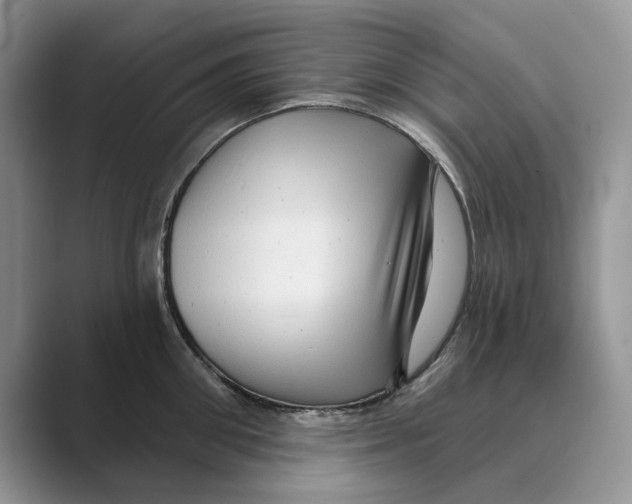 X0000088850906200707061030