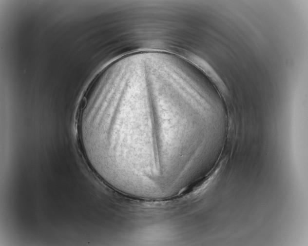 X0000088850908200707061030