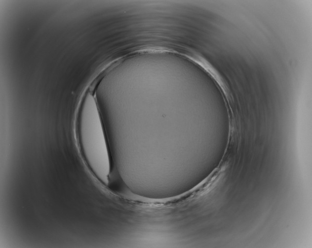 X0000088850909200707061030