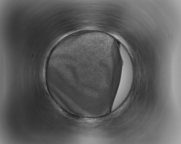 X0000088850910200707061030