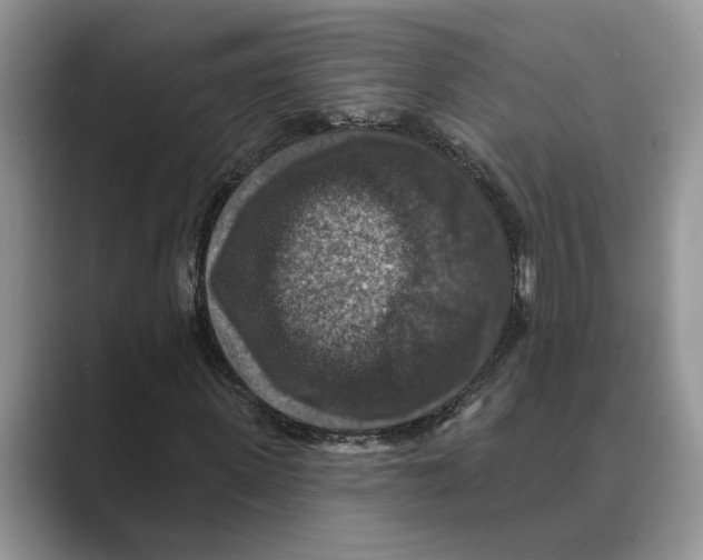 X0000088850915200707061030