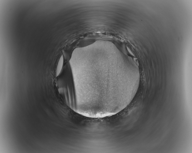 X0000088850916200707061030