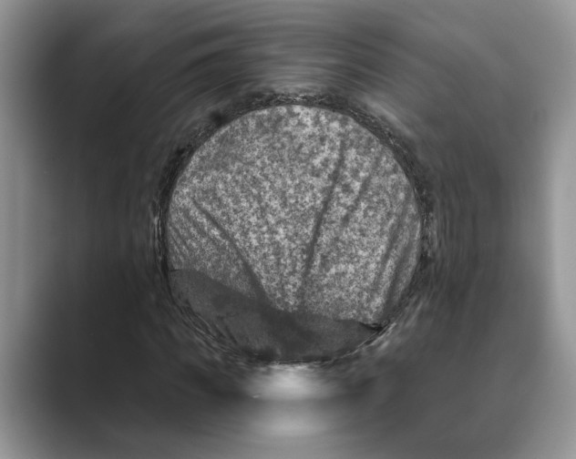 X0000088850917200707061030