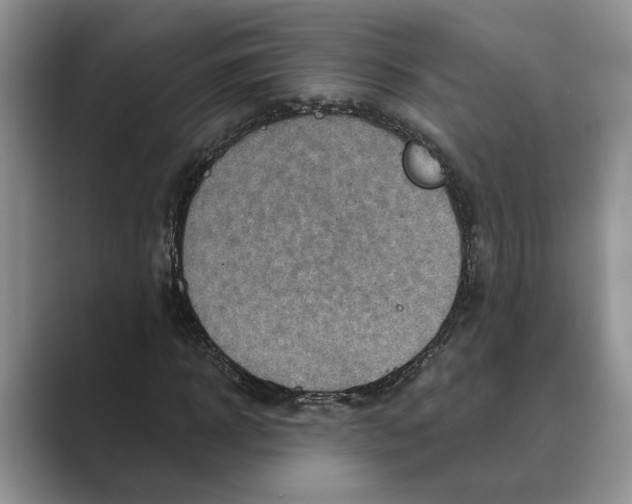 X0000088850918200707061030