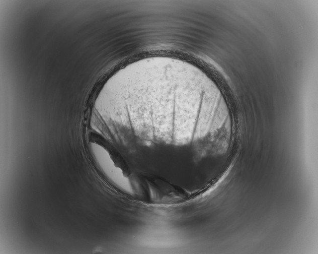 X0000088850921200707061030