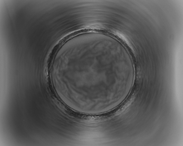 X0000088850923200707061030