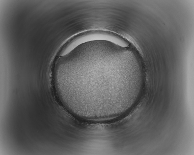 X0000088850926200707061030