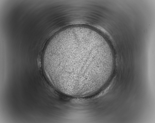 X0000088850929200707061030