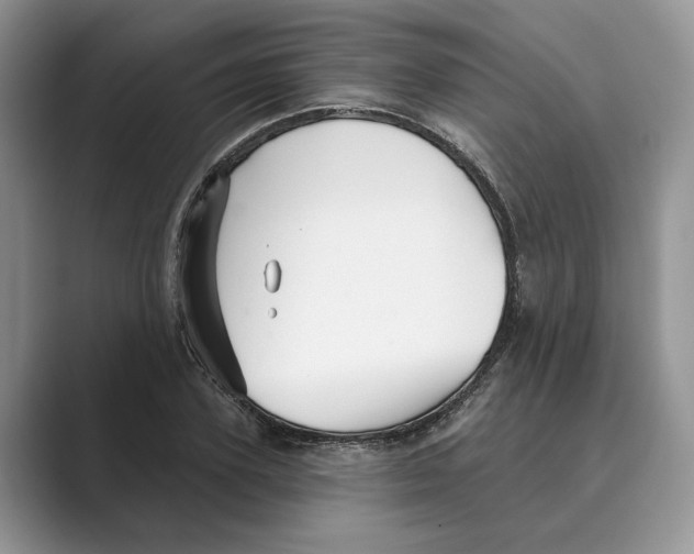 X0000088850931200707061030
