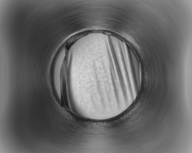 X0000088850934200707061030