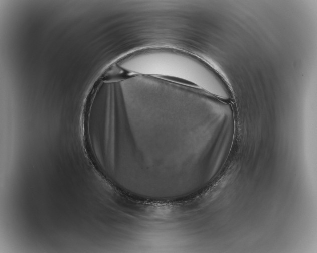 X0000088850935200707061030