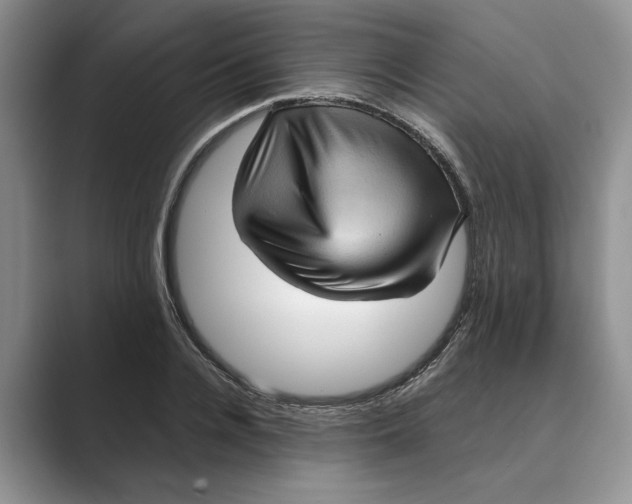 X0000088850936200707061030