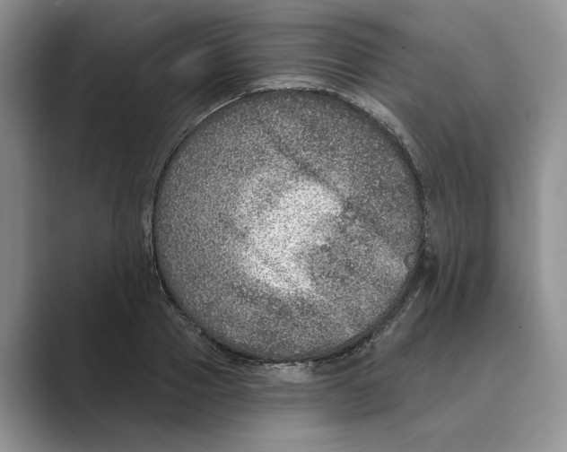 X0000088850937200707061030